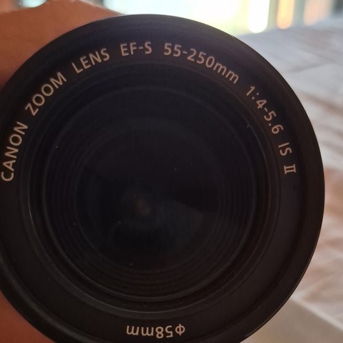 Canon 250mm 4 5 - canon, ef-s